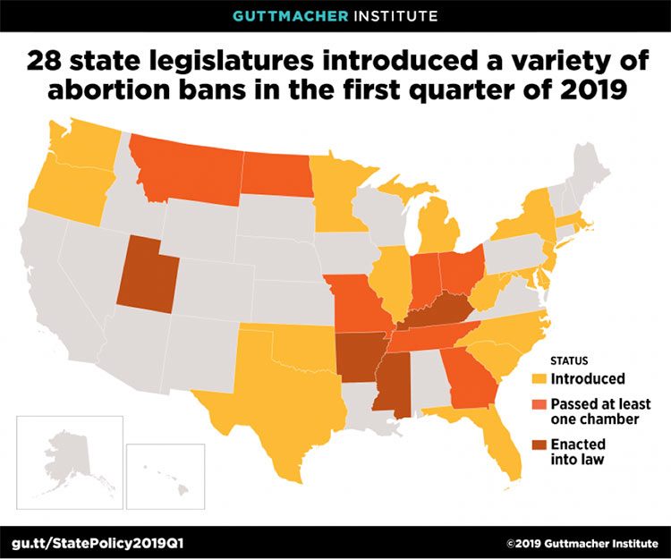 28 State Legislatures introduced a variety of Abortion Bans in the first quarter of 2019